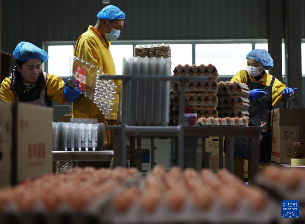 辽宁台安：打造食品产业集群(图1)