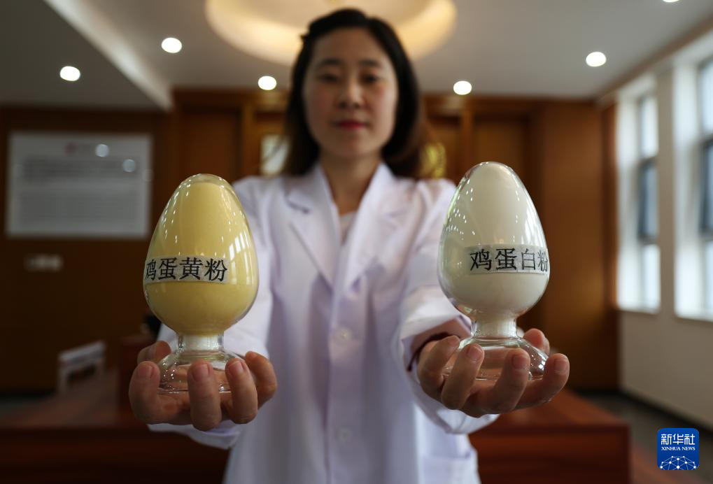辽宁台安：打造食品产业集群(图2)