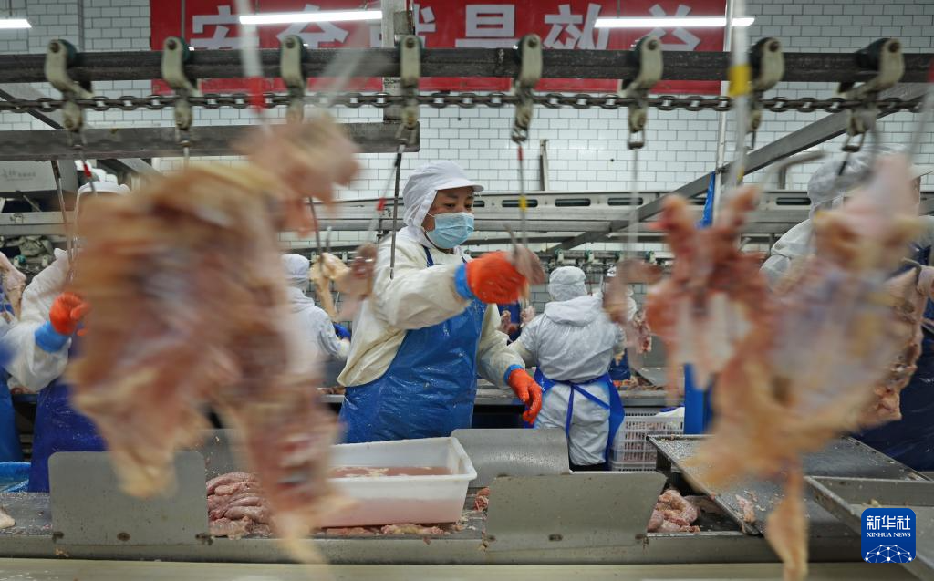 辽宁台安：打造食品产业集群(图8)