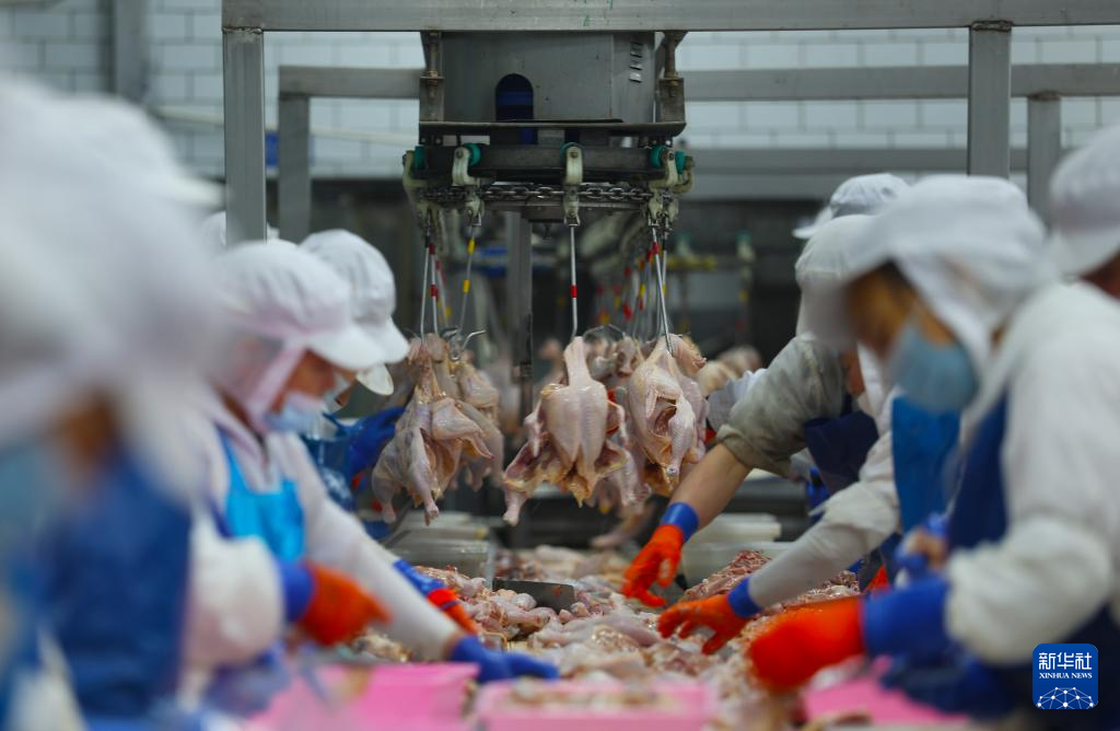 辽宁台安：打造食品产业集群(图9)