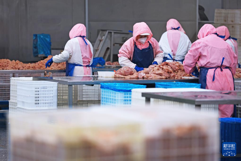辽宁台安：打造食品产业集群(图10)