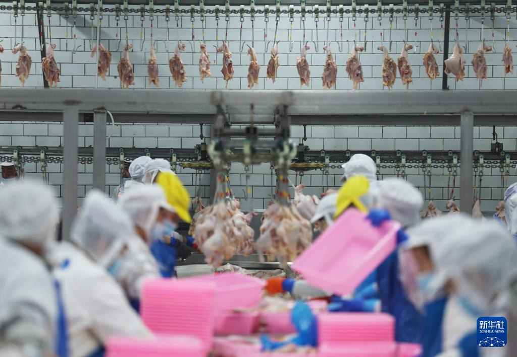 辽宁台安：打造食品产业集群(图11)