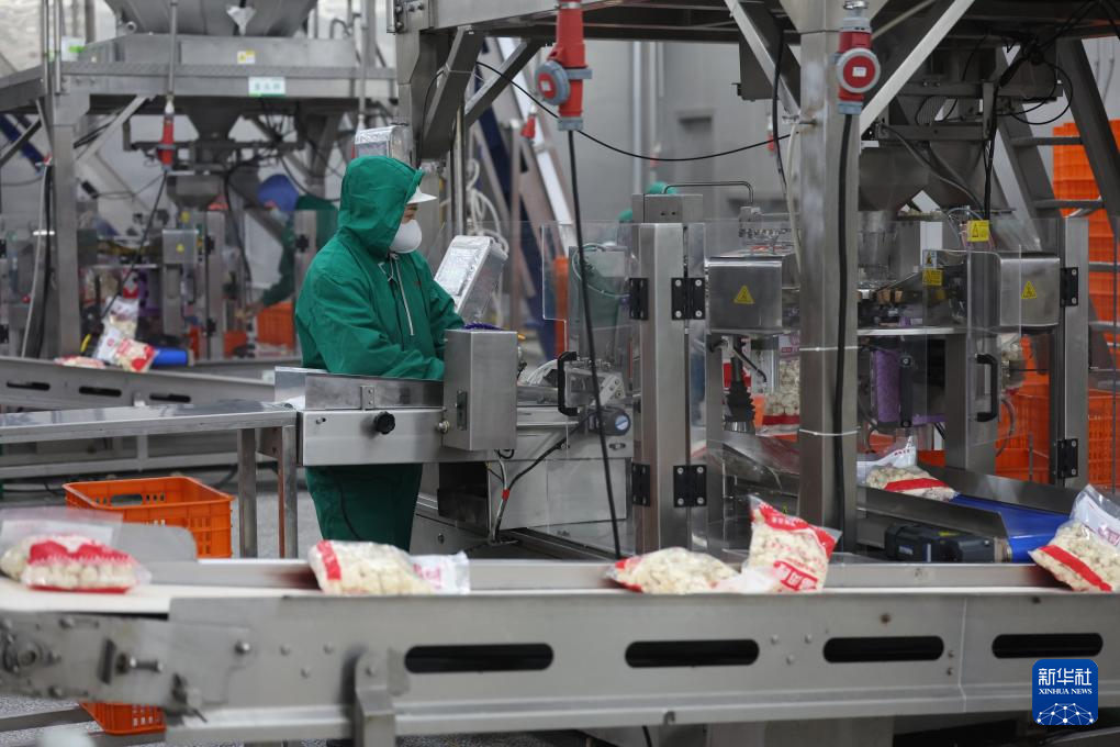 辽宁台安：打造食品产业集群(图12)