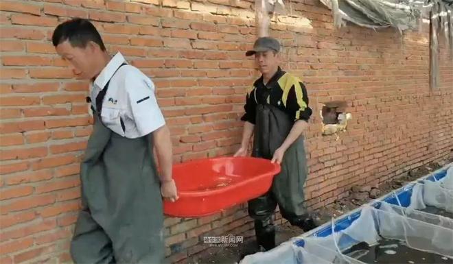 1500万尾寒地小龙虾下池塘进稻田丨冰城“蓝色粮仓”别样鲜美(图2)