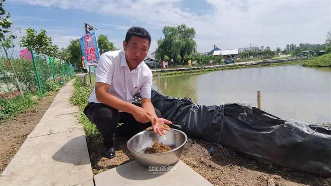 1500万尾寒地小龙虾下池塘进稻田丨冰城“蓝色粮仓”别样鲜美(图5)
