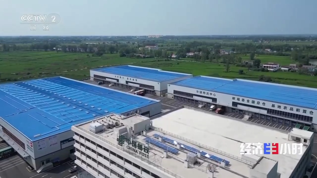 发展跑出加速度在冷链物流中看全国统一大市场(图3)