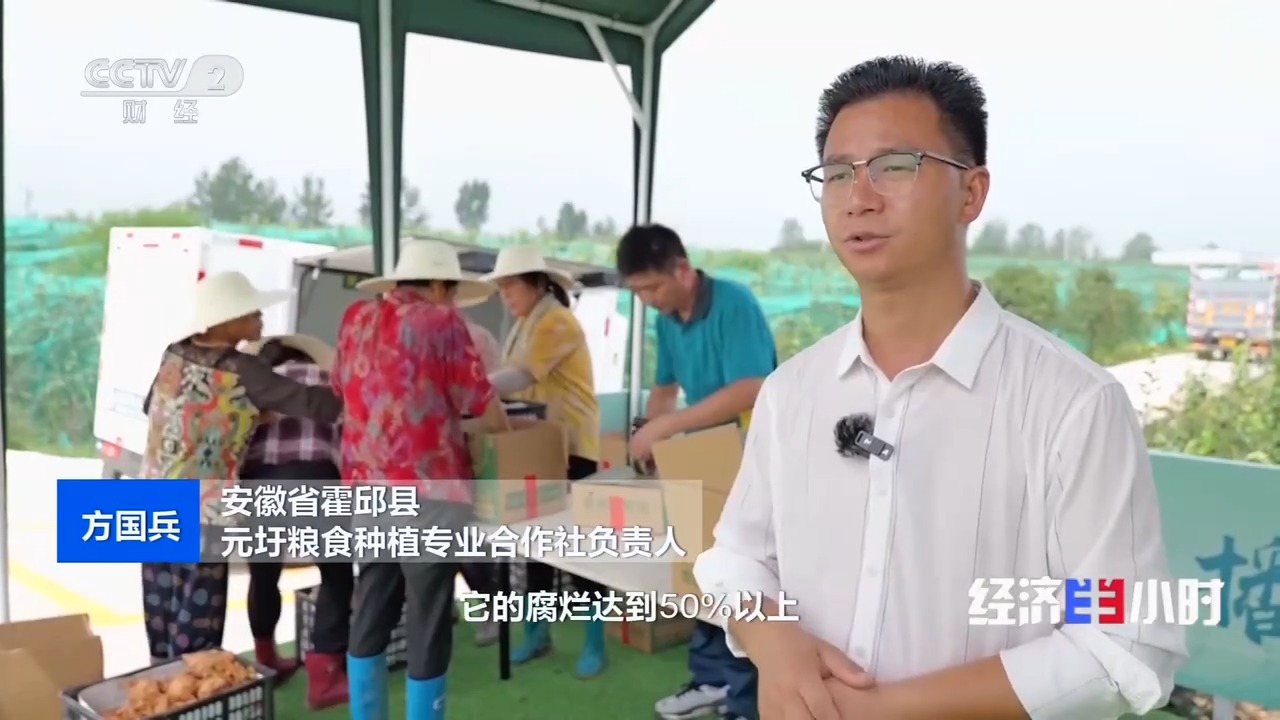 发展跑出加速度在冷链物流中看全国统一大市场(图2)