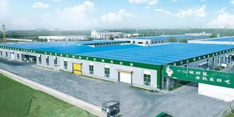 以果蔬加工产业“含新量”提升发展“含金量”——看兰陵菜“三变”(图2)