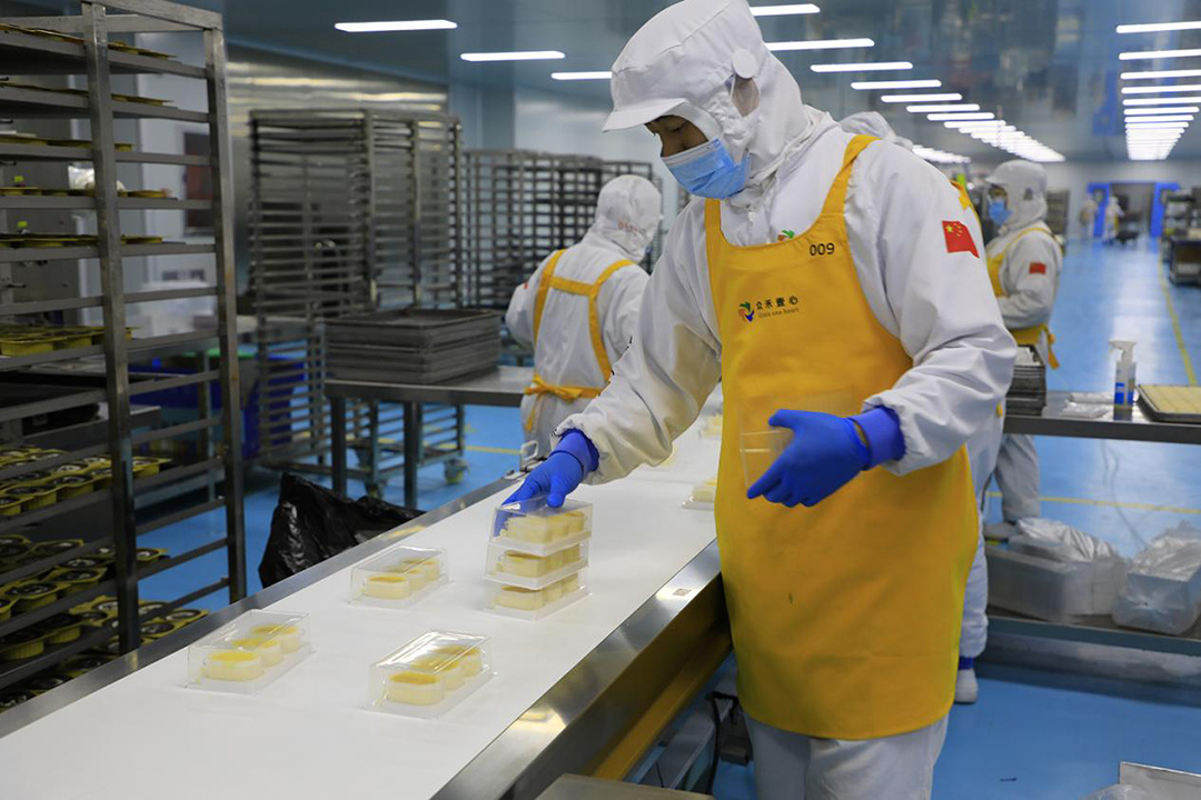 高平市众禾壹心日产300万块冷冻甜品中央工厂项目：鼓足干劲忙生产全力满足市场供应(图2)