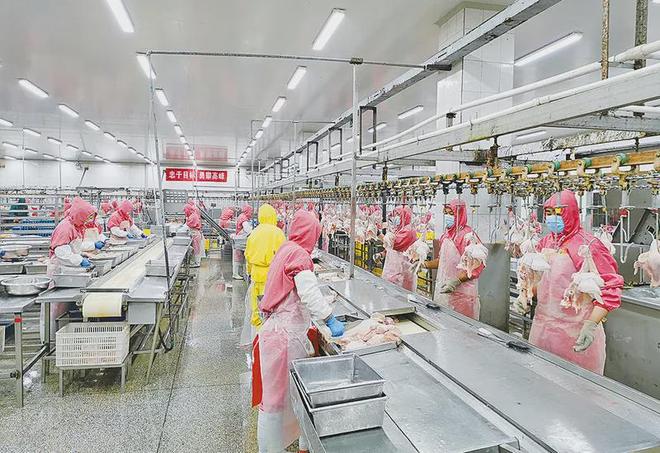 两项重量级荣誉！(图7)