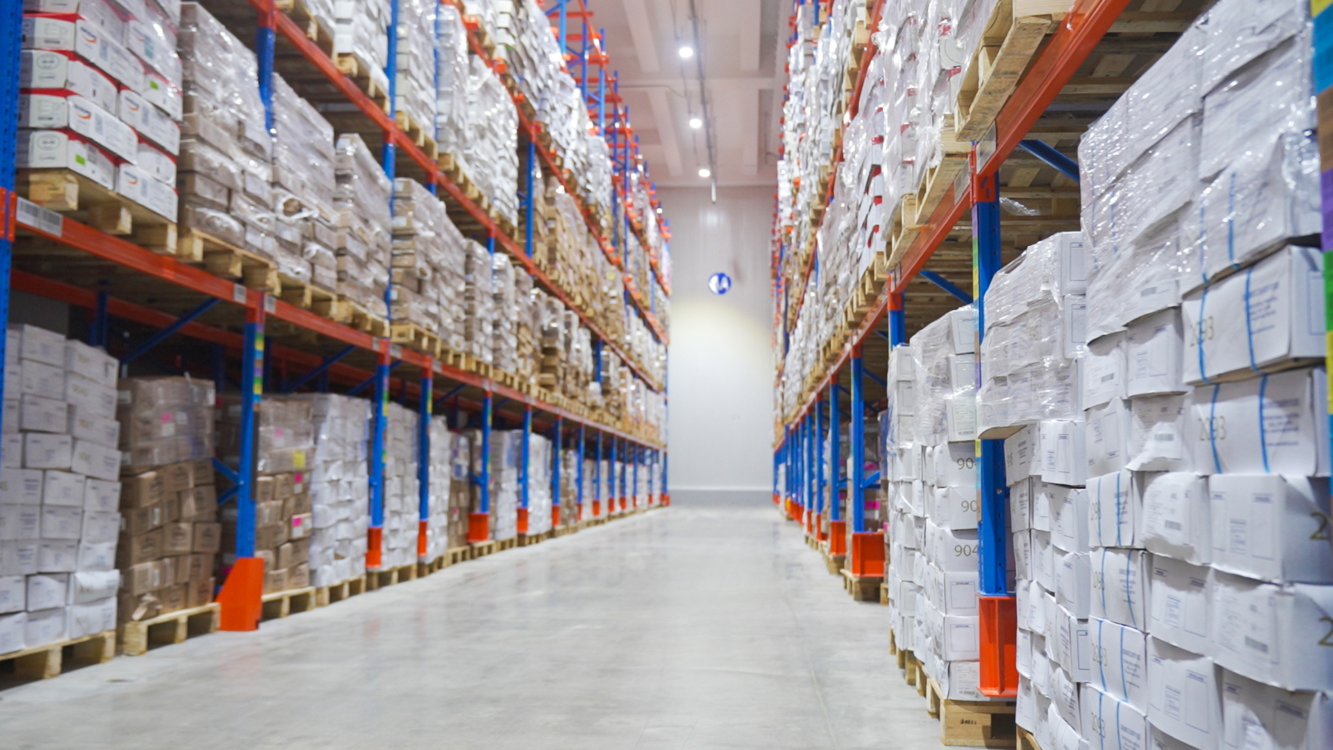 行进的海岸线全球“鲜”达中国餐桌探秘长三角“超级大冰箱”(图3)