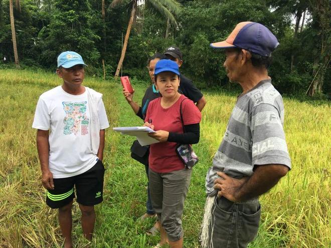 掘金菲律宾农业市场：2025年中国农产品出口新机遇全解析(图1)