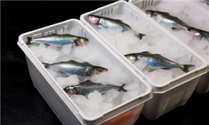 深度分析_中研普华行业研究网(图1)