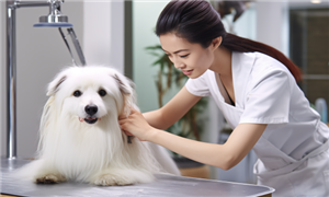 深度分析_中研普华行业研究网(图9)