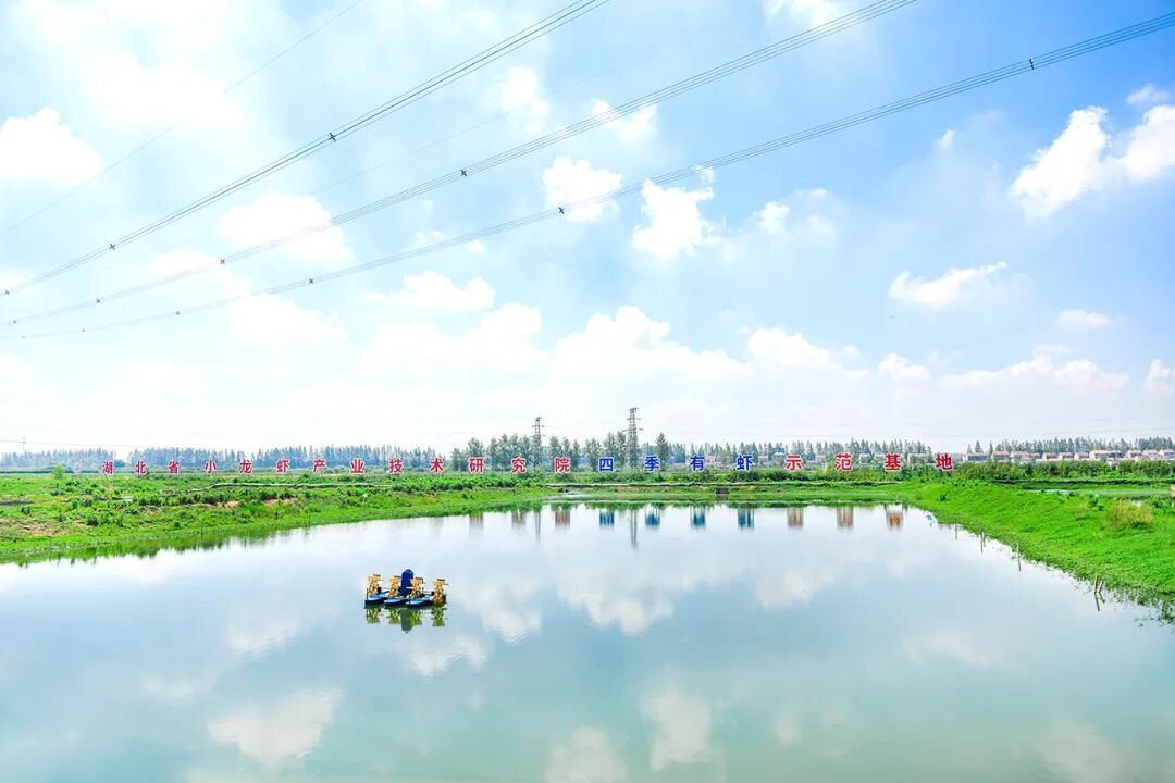 “红”动天下——“潜江龙虾”产业的全球化突围征程(图4)