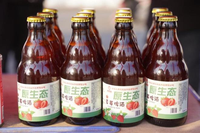 临泉甜“莓”的密码何在？(图4)