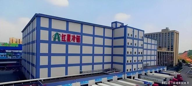 3年豪气分红2个亿？转身上市募资！冷链巨头的“钱袋子”谜团(图9)