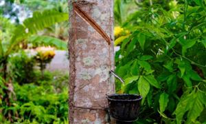 速冻食品行业市场规模速冻食品家庭端需求潜力大(图4)