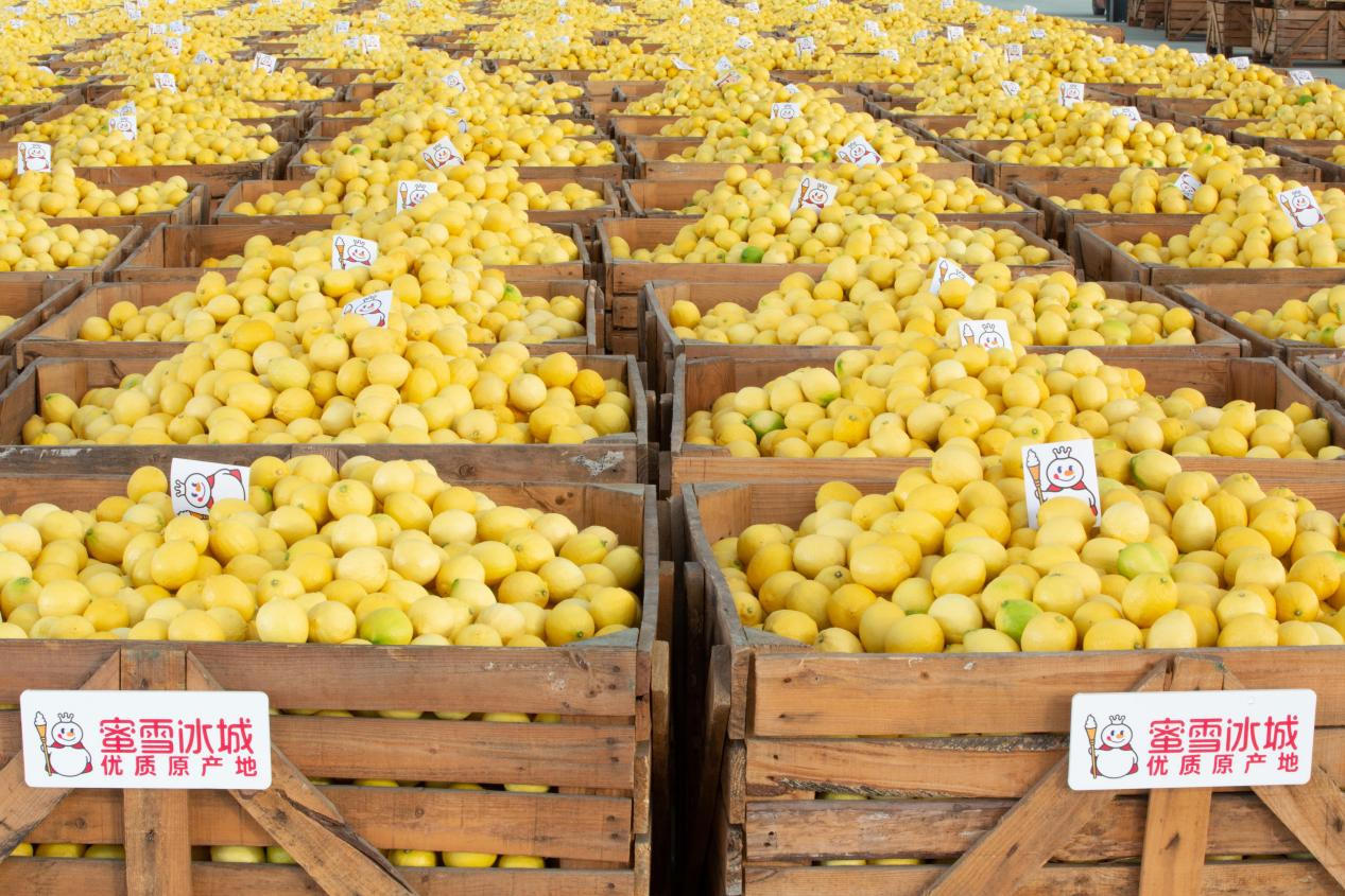 蜜雪冰城发布2025年ESG报告构建全链条绿色普惠价值链(图3)