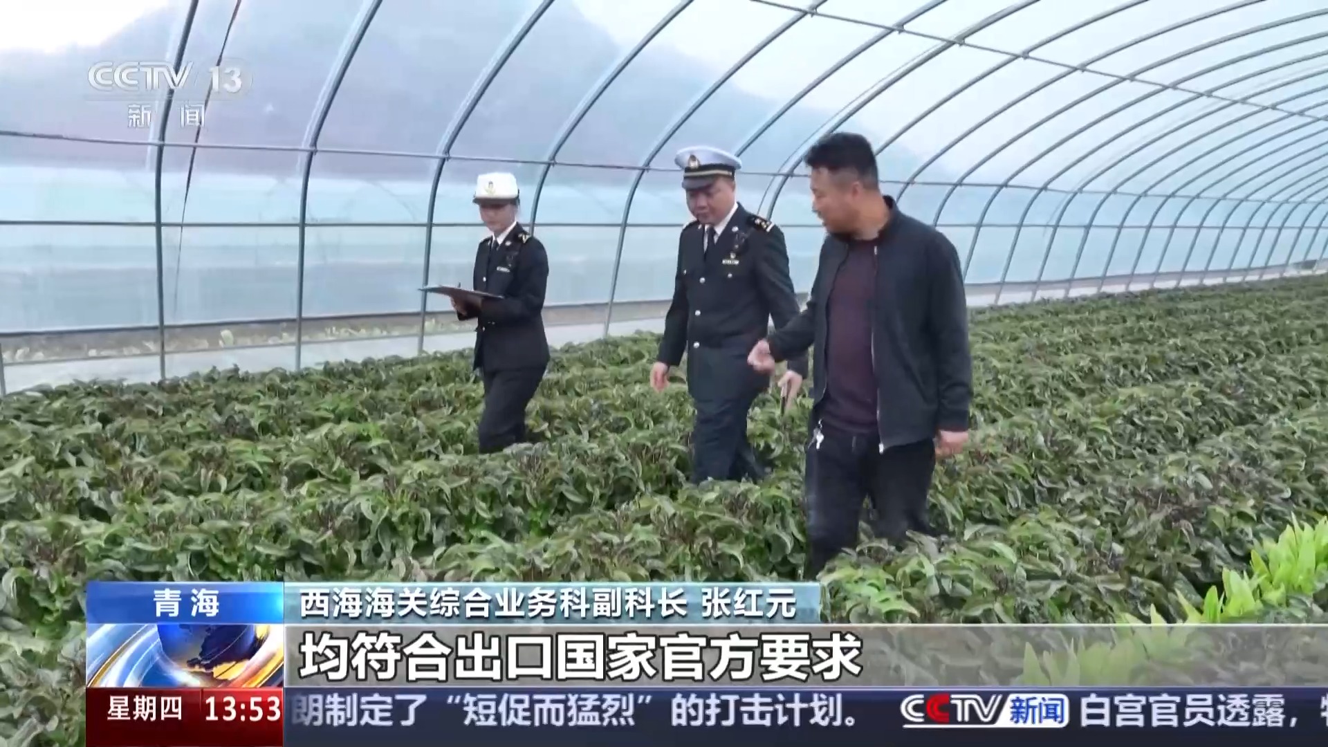 一线调研丨高原鲜鱼闯世界“冷资源”成经济增长“热产业”(图9)