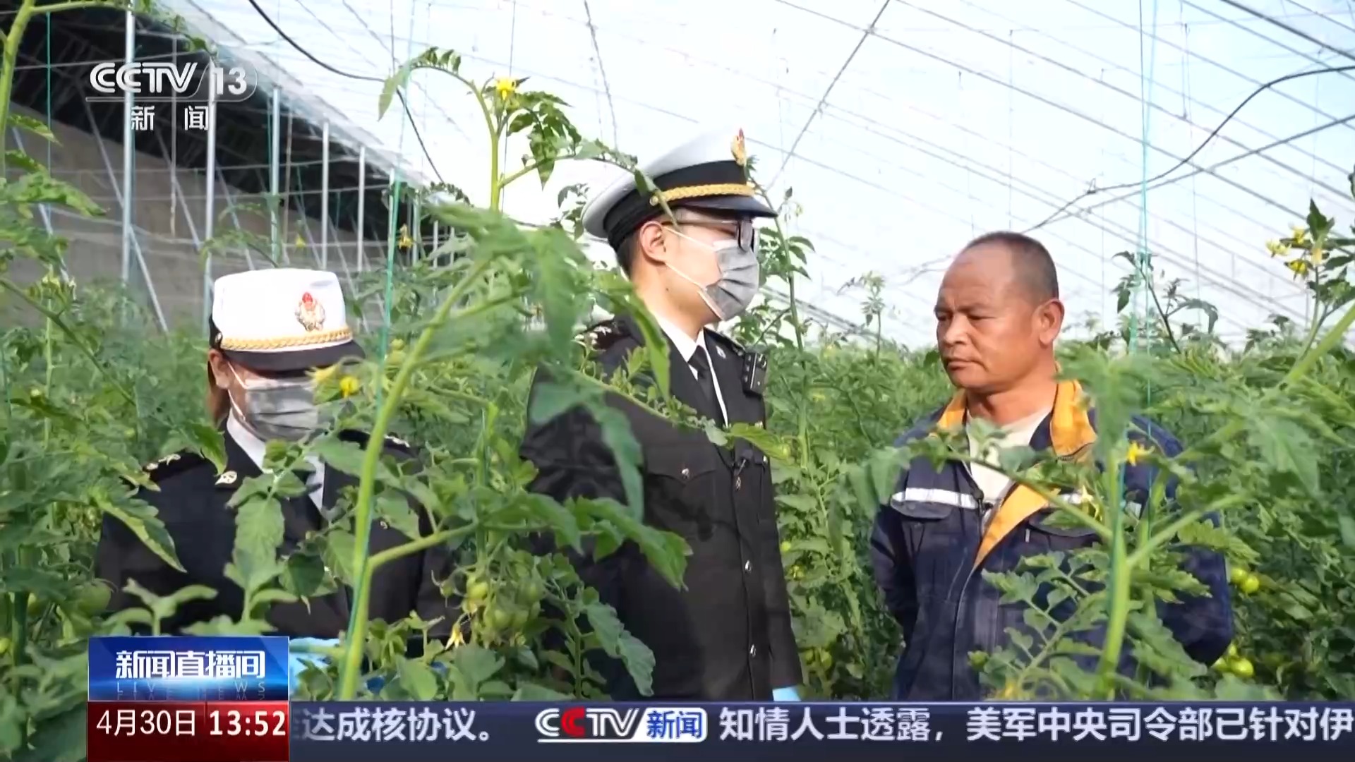 一线调研丨高原鲜鱼闯世界“冷资源”成经济增长“热产业”(图8)
