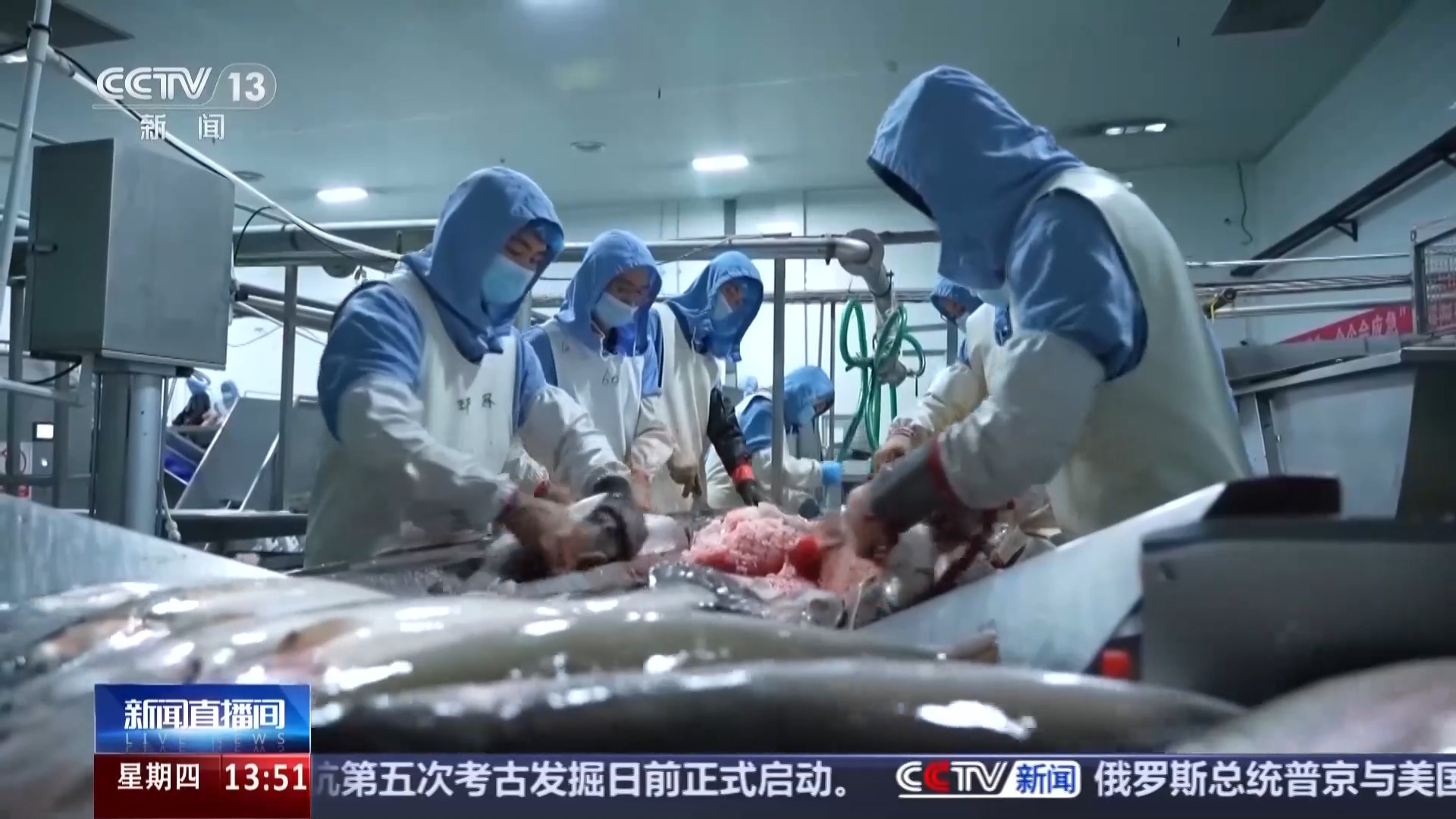 一线调研丨高原鲜鱼闯世界“冷资源”成经济增长“热产业”(图5)
